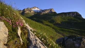 monte Naafkopf Malbun