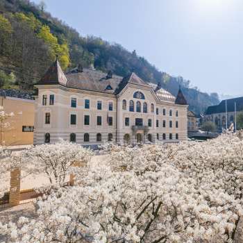 Edificio governativo di Vaduz con fiori bianchi in primo piano in pieno sole