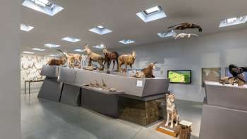 Museo nazionale del Liechtenstein