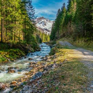 Un limpido torrente di montagna vicino a Steg nel Liechtenstein in primavera, affiancato da un bosco di abeti e da un sentiero escursionistico con vista sulle montagne