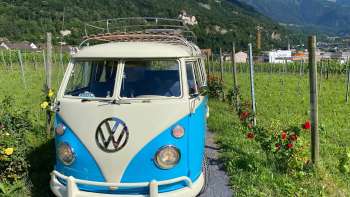 Autobus VW nostalgico su un sentiero tra i vigneti con vista sul castello di Vaduz