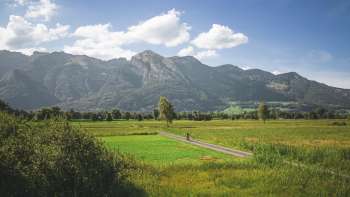 Immagine ripresa da un drone della Riserva naturale Ruggeller Riet le montagne sullo sfondo