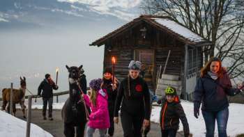 Bambini e adulti in escursione invernale con i lama su un sentiero innevato nel Liechtenstein con vista sulla valle del Reno