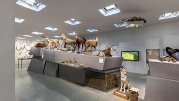  Mostra di storia naturale al Museo Nazionale del Liechtenstein