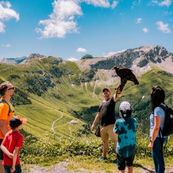 Una famiglia osserva il falconiere con l'uccello rapace