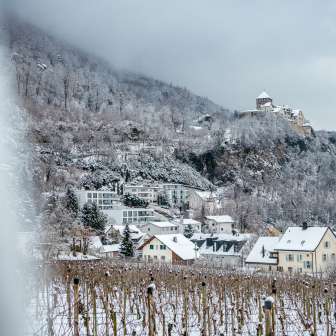 Vigneti e case innevate a Vaduz con vista sul castello di Vaduz in una giornata invernale