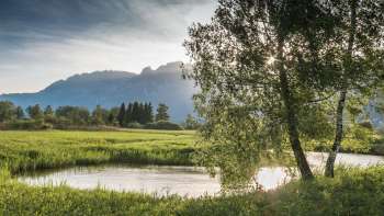 Tranquillo paesaggio acquatico nella riserva naturale Ruggeller Riet con la luce del sole e la vista delle montagne sullo sfondo