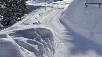 Pista da slittino Sücka nel bel mezzo di un paesaggio innevato nella foresta