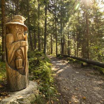 Figura in legno con lanterna al «sentiero delle leggende Walser» nella luce mistica della foresta