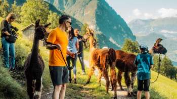 Escursione guidata con i lama su un sentiero di montagna