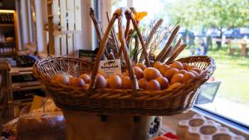 Grande cesto di vimini con uova fresche di allevamento all'aperto nel negozio della fattoria Bangshof - qualità regionale direttamente dalla fattoria.