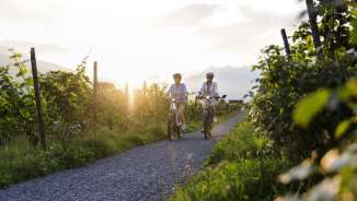 Due donne pedalano tra le vigne del Liechtenstein al tramonto - godendosi la natura e una vacanza attiva al crepuscolo